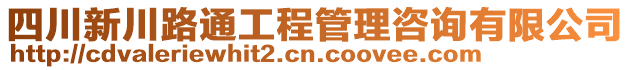 四川新川路通工程管理咨詢有限公司