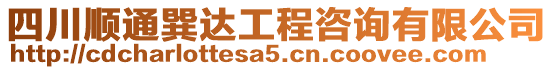 四川順通巽達工程咨詢有限公司