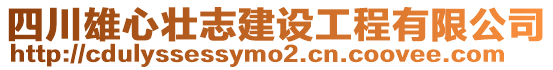 四川雄心壯志建設(shè)工程有限公司