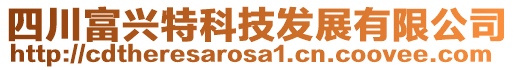 四川富興特科技發(fā)展有限公司