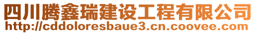 四川騰鑫瑞建設工程有限公司