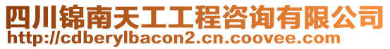 四川錦南天工工程咨詢有限公司