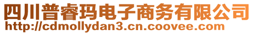 四川普?，旊娮由虅?wù)有限公司