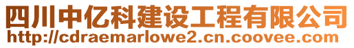 四川中億科建設(shè)工程有限公司