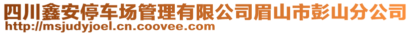 四川鑫安停車場管理有限公司眉山市彭山分公司