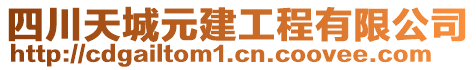 四川天城元建工程有限公司