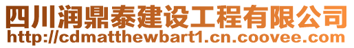 四川潤(rùn)鼎泰建設(shè)工程有限公司