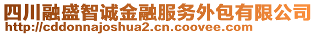 四川融盛智誠金融服務外包有限公司