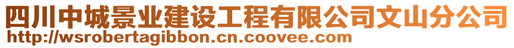 四川中城景業(yè)建設(shè)工程有限公司文山分公司