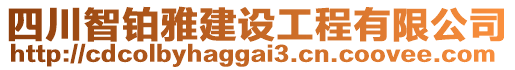 四川智鉑雅建設(shè)工程有限公司