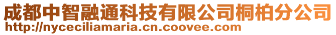 成都中智融通科技有限公司桐柏分公司