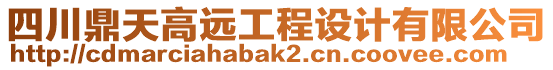 四川鼎天高遠(yuǎn)工程設(shè)計(jì)有限公司