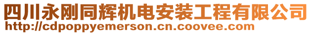 四川永剛同輝機(jī)電安裝工程有限公司