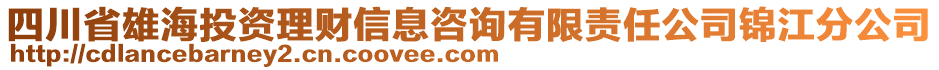 四川省雄海投資理財(cái)信息咨詢有限責(zé)任公司錦江分公司