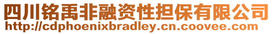 四川銘禹非融資性擔(dān)保有限公司