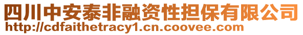 四川中安泰非融資性擔(dān)保有限公司