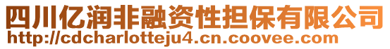 四川億潤非融資性擔(dān)保有限公司