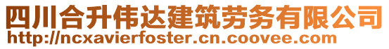 四川合升偉達(dá)建筑勞務(wù)有限公司