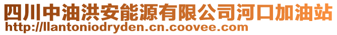 四川中油洪安能源有限公司河口加油站