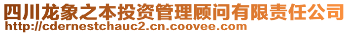 四川龍象之本投資管理顧問有限責(zé)任公司