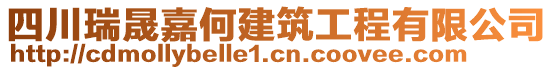 四川瑞晟嘉何建筑工程有限公司