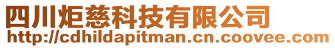 四川炬慈科技有限公司