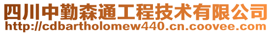 四川中勤森通工程技術有限公司