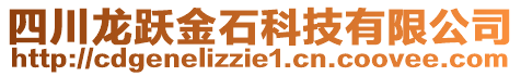 四川龍躍金石科技有限公司