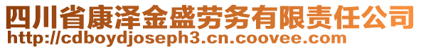四川省康澤金盛勞務有限責任公司