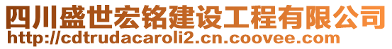 四川盛世宏銘建設(shè)工程有限公司