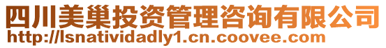 四川美巢投資管理咨詢有限公司