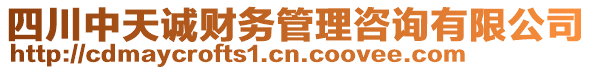 四川中天誠(chéng)財(cái)務(wù)管理咨詢(xún)有限公司