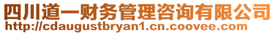 四川道一財(cái)務(wù)管理咨詢有限公司