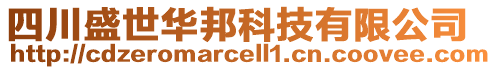 四川盛世華邦科技有限公司