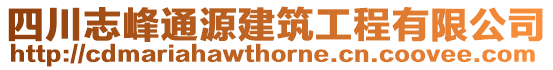 四川志峰通源建筑工程有限公司