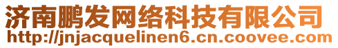 濟南鵬發(fā)網(wǎng)絡(luò)科技有限公司