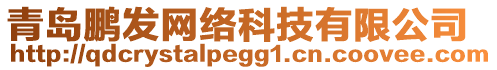 青島鵬發(fā)網(wǎng)絡(luò)科技有限公司