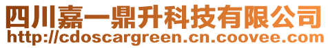 四川嘉一鼎升科技有限公司