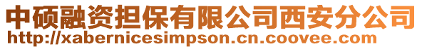 中碩融資擔保有限公司西安分公司