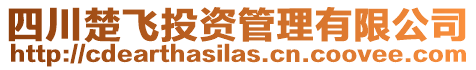 四川楚飛投資管理有限公司