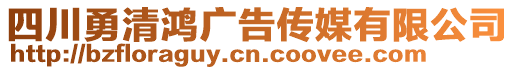 四川勇清鴻廣告?zhèn)髅接邢薰? style=