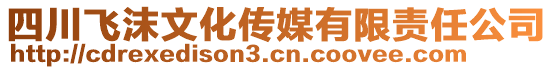 四川飛沫文化傳媒有限責(zé)任公司