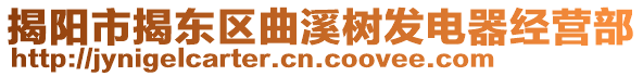 揭陽(yáng)市揭東區(qū)曲溪樹(shù)發(fā)電器經(jīng)營(yíng)部