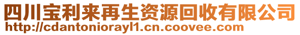 四川寶利來再生資源回收有限公司