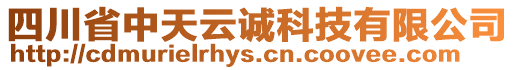 四川省中天云誠科技有限公司