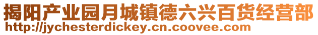 揭陽產(chǎn)業(yè)園月城鎮(zhèn)德六興百貨經(jīng)營(yíng)部