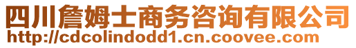 四川詹姆士商務(wù)咨詢有限公司