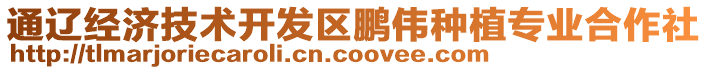 通遼經(jīng)濟(jì)技術(shù)開發(fā)區(qū)鵬偉種植專業(yè)合作社