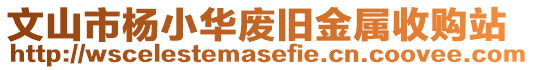 文山市楊小華廢舊金屬收購站