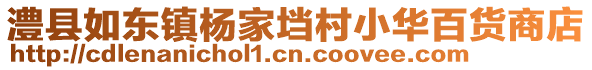 澧县如东镇杨家垱村小华百货商店